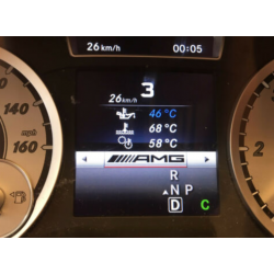 Unlocking the AMG menu by Team viewer 
